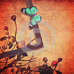 Butterfly art vintage abstract