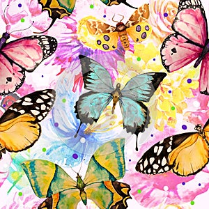 Butterfly background