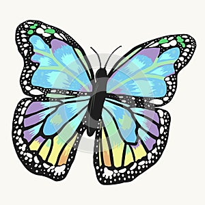 Butterfly beautiful isolated on white background. Hand drawn illustration design element