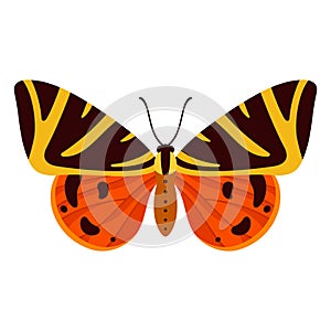 Butterfly with beautiful ornamental red and yellow wings. Vector illustration.