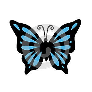 Butterfly black and blue hand drawing on white, stock vector illustration