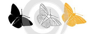 Butterfly black ink line art and detail silhouette illustrations for cutting. Insect set for coloring page, tattoo, hand