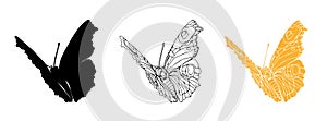 Butterfly black ink line art and detail silhouette illustrations for laser cutting. Insect set for coloring page, tattoo