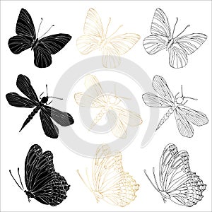 Butterfly black ink line art, silhouette illustrations and gold foil. Insect set for coloring page, tattoo, hand drawn