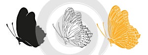 Butterfly black ink line art, silhouette illustrations and gold foil. Insect set for coloring page, tattoo, hand drawn