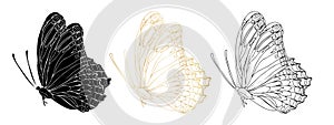 Butterfly black ink line art, silhouette illustrations and gold foil. Insect set for coloring page, tattoo, hand drawn