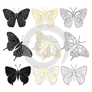 Butterfly black ink line art, silhouette illustrations. Insect set for coloring page, tattoo silhouette, hand drawn