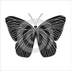 Butterfly black silhouette art illustration. Insect butterfly for stickers, tattoo, silhouette, scrapbook. Winged