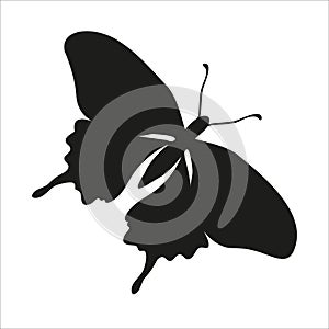 Butterfly black silhouette art illustration. Insect butterfly for stickers, tattoo, silhouette, scrapbook. Winged