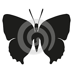 Butterfly black silhouette art illustration. Insect butterfly for stickers, tattoo, silhouette, scrapbook. Winged