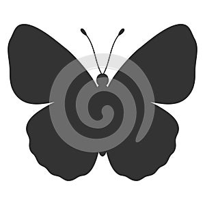 Butterfly black silhouette. Shape of butterfly wings, front view