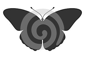 Butterfly black silhouette. Shape of butterfly wings, front view