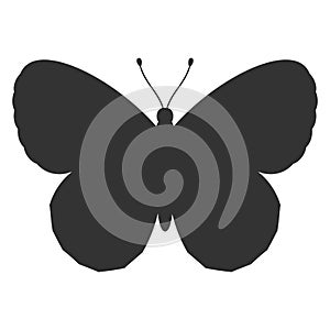 Butterfly black silhouette. Shape of butterfly wings, front view, tattoo template