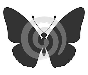 Butterfly black silhouette. Shape of butterfly wings, front view, tattoo template