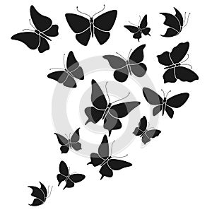 Butterfly black silhouettes. Fly butterflies wedding decor elements, abstract flying beautiful forest and garden insects