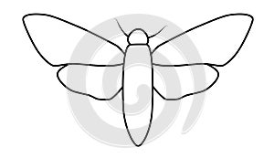 Butterfly black and white outline illustration. Coloring book or page for kids