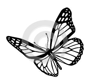 Butterfly black and white tribal tattoo cut out silhouette