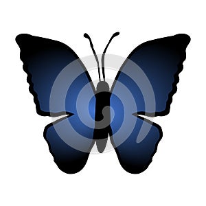 Butterfly with blue gradient. Vector