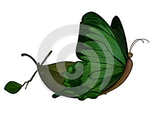 Butterfly boat - 3D render