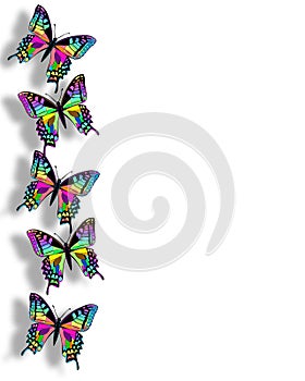 Butterfly Border 3D Rainbow colors