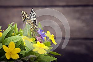 Butterfly and bouquet of field wild flowers in a vase on old boa