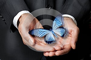 Butterfly Business Ethics Hands Philanthropy