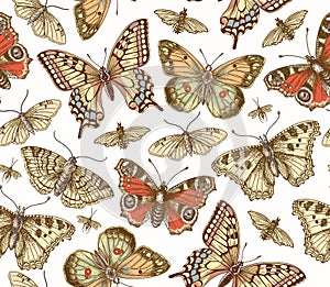 Butterfly Butterflies insect Animal moths Illustrations Drawing engraving Seamless Background pattern Vintage peacock makhaon