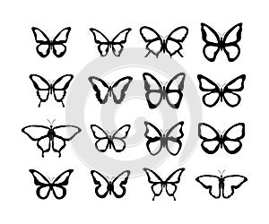 Butterfly. Butterflies vector icons, isolated. Butterfly in flat design. Vector illustration