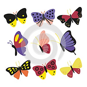 Butterfly character vector design