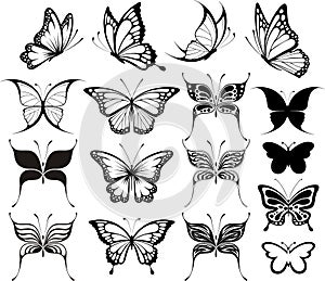 Butterfly clipart