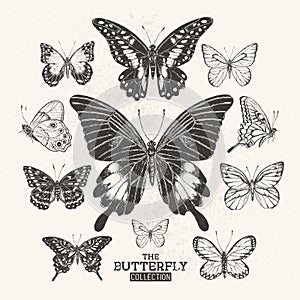 The Butterfly Collection