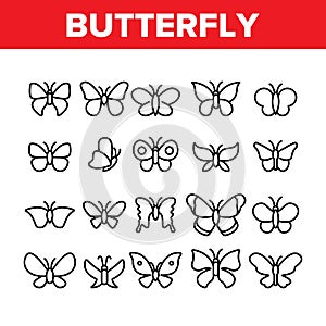Butterfly Collection Elements Icons Set Vector