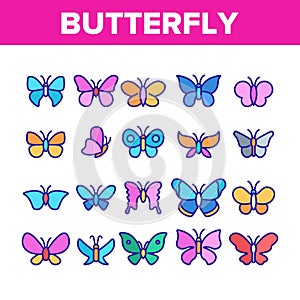 Butterfly Collection Elements Icons Set Vector