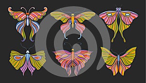 Butterfly color art nouveau. Vintage style 1920-1930. Elements design isolated in black background.