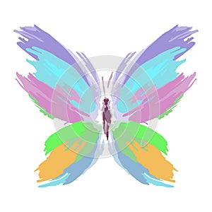 Butterfly from color splashes and line brushes. Vector