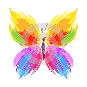 Butterfly from color splashes and line brushes. Vector