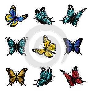 Butterfly of colorful icon set vector illustration.