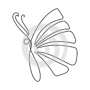 Butterfly Continuous one line drawing line art drawing vector illustration. Insects in spring. Black and white Hand