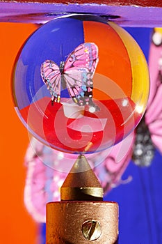 Butterfly in crystal ball