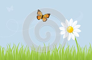 Butterfly and Daisy