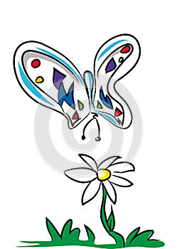 Butterfly and daisy