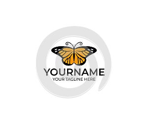 Butterfly danaida monarch logo template. Insect vector design