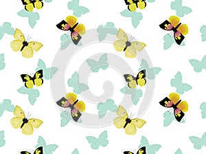 Butterfly Dogface Background Seamless Wallpaper