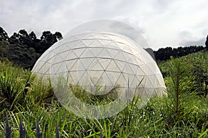 Butterfly Dome Close-Up