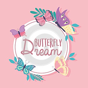 butterfly dream label