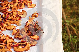 Butterfly and dried apples