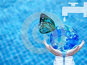 Butterfly drinking water from blue globe on hand. Saving water concept