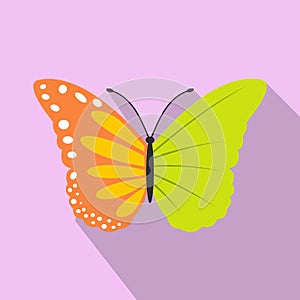 Butterfly ecology flat icon