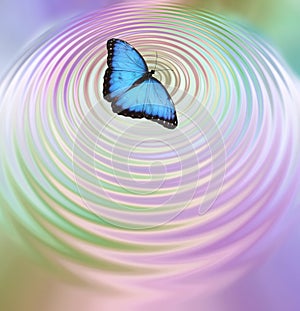 The Butterfly Effect photo