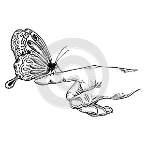 Butterfly on finger engraving vector illustration